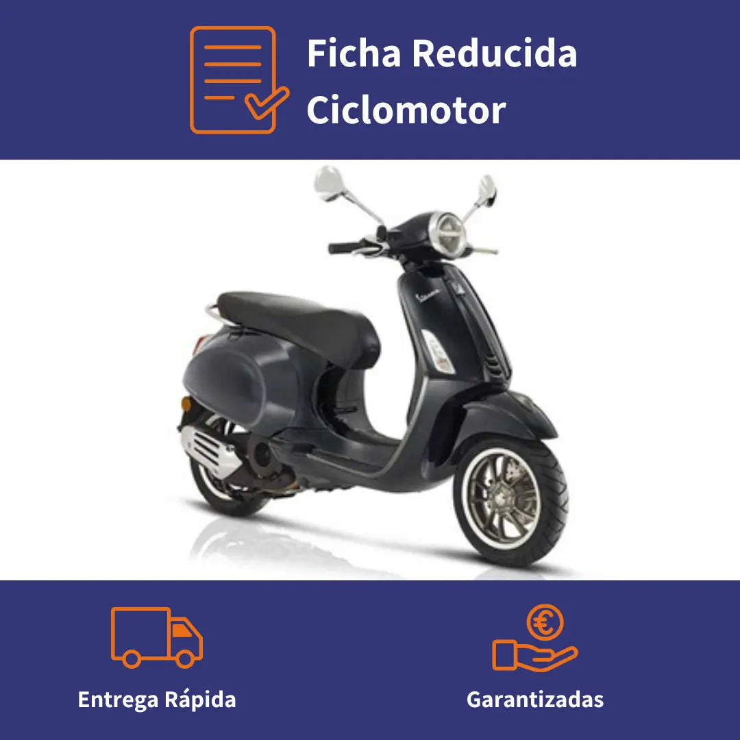 Ficha Reducida Ciclomotor