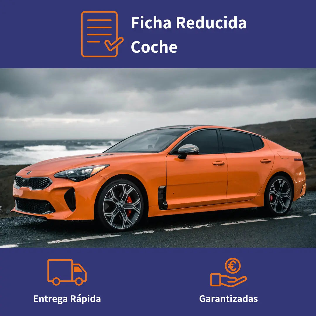 Ficha Reducida Coche ficha tecnica coche